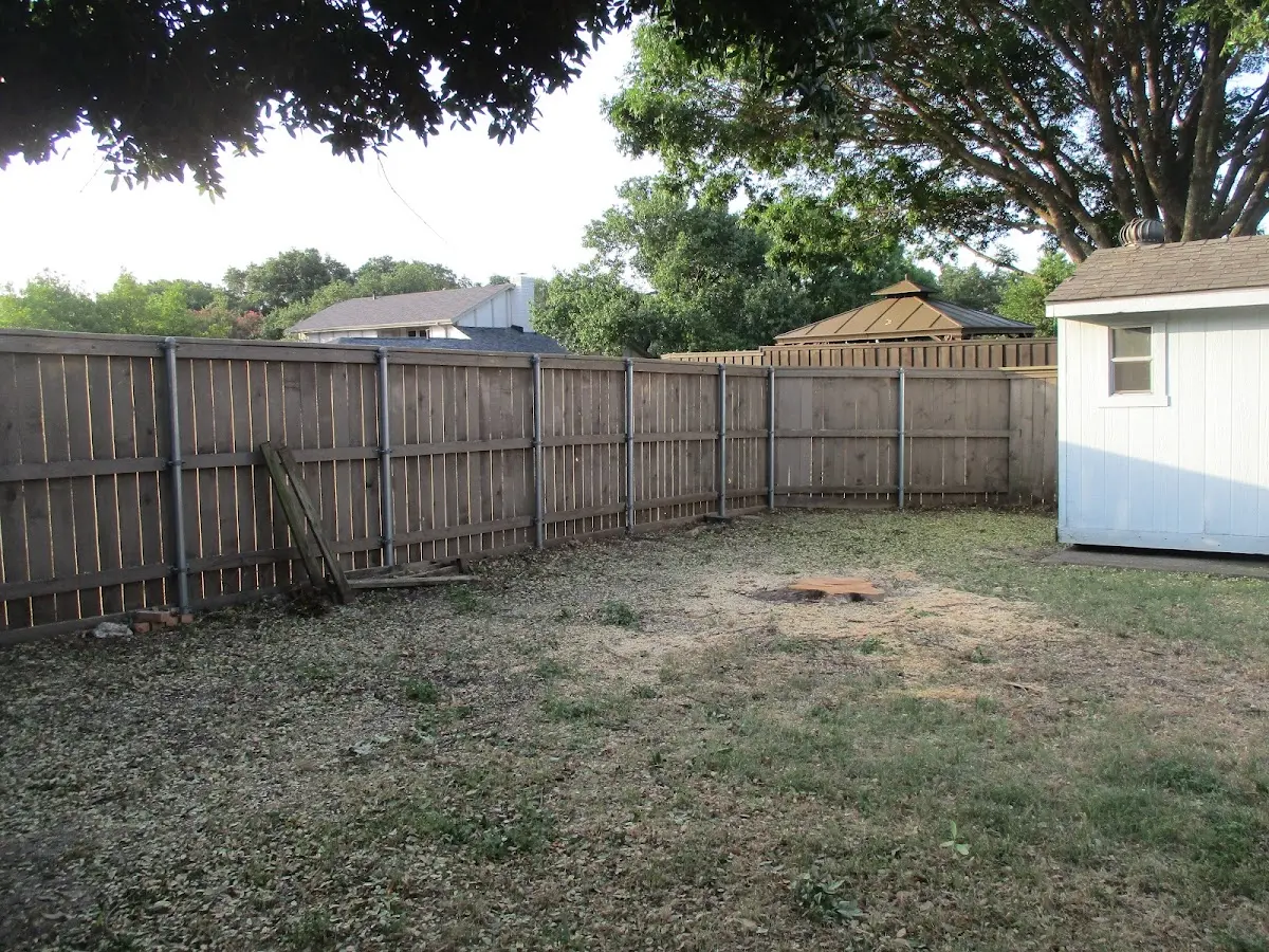 Cleared yard after professional tree removal in North English